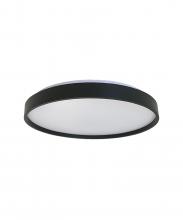  FM1132-20BK - Flush Mount Matte Black Body