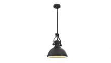  P1010BK - Pendant Black