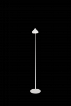  LD1096B3 - Amelie Floor Lamp