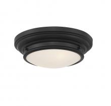  M60063MBK - 2-Light Ceiling Light in Matte Black