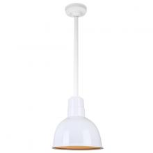  H-QSN16110-SA-93/QSN24ST3-93/QSNHSC-93 - 10" Ceiling Stem Light