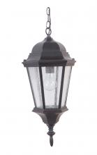  Z2911-OBG - Chadwick 1 Light Outdoor Pendant in Oiled Bronze Gilded