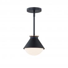  FSN-7685W-OPAL-MBBR - Ravelle Small Outdoor Pendant