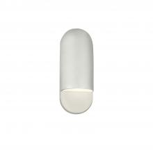  CER-5620W-BIS - Small ADA Capsule Outdoor Wall Sconce