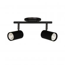 Dainolite Canada TAY-122SF-MB - 2LT Track Light, MB