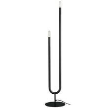 Dainolite Canada WAN-602F-MB - 2 Light Incandescent Floor Lamp, Matte Black