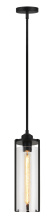 Matteo C62201BK - Bayou Pendant