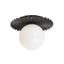  WX83101BKOP - Modern Ruff Wall Sconce/Ceiling Mount