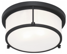 Matteo Lighting M14902MB - Caisse Claire Matte Black Ceiling Mount