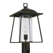 Capital Canada 943615OZ - 1 Light Outdoor Post Lantern