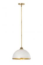  1004P14-MW-RB - 1 Light Pendant