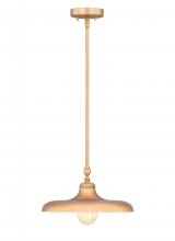 z-Lite 2308P14-RB - 1 Light Pendant