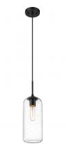 z-Lite 738P17-MB - 1 Light Pendant