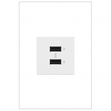  ARUSB2AA6W4 - 2M USB with 2-Type A/A 6A