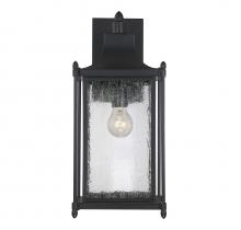 Savoy House Canada 5-3452-BK - Dunnmore 1-Light Outdoor Wall Lantern in Black