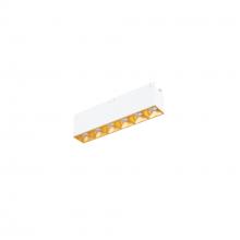 WAC Canada R1GDL06-N930-GL - Multi Stealth Downlight Trimless 6 Cell