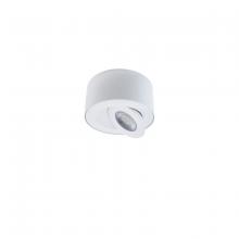 Modern Forms FM-W44205-40-WT - I Spy Outdoor Flush Mount Light