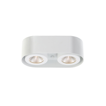 Eurofase Cananda 33617-015 - Nymark, 2LT LED Surface Mnt, Wht