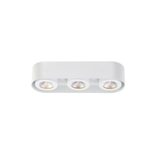 Eurofase Cananda 33618-012 - Nymark, 3LT LED Surface Mnt, Wht