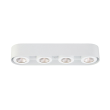 Eurofase Cananda 33619-019 - Nymark, 4LT LED Surface Mnt, Wht