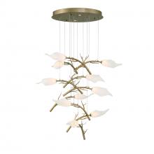 Eurofase Cananda 47229-013 - Matera 22" LED Chandelier In Gold