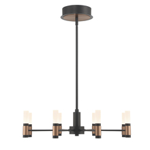 Eurofase Cananda 46352-019 - Albany 8 Light Chandelier in Black and Brass