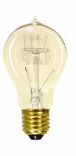  S2412 - 40 Watt A19 Incandescent; Clear; 3000 Average rated hours; 160 Lumens; Medium base; 120 Volt