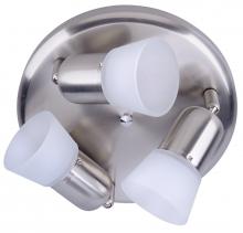  ICW5351 - Omni, Triple Head Ceiling/Wall, Frosted Glass, 60W A15 or R16