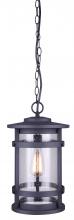  IOL343BK - DUFFY, 1 Lt Chain Pendant Outdoor, Seeded Glass, 100W Type A, 9 1/2" W x 16 1/8" H