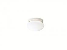  206WH - Flush Mount 1Lt (12 pack)