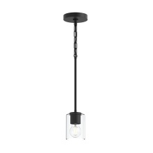 Progress Canada P500517-031 - P500517-031 1-100W MED MINI-PENDANT
