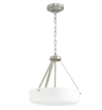 Progress Canada P500507-009 - P500507-009 2-L PENDANT CONV.
