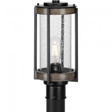  P540094-31M - P540094-31M 1-100W MED POST LANTERN