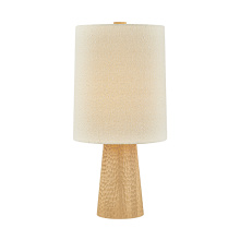 HVL - Mitzi Combined HL1154201-AGB - Jones Table Lamp
