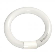  FCL-40CW - Fluorescent Circular Tube