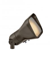 ACCENT FLOOD LIGHT