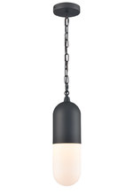 DVI Canada DVP13775BK-OP - Capsule Pendant