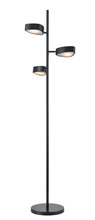 DVI Canada DVP45409EB-OP - Northern Marches Floor Lamp