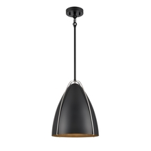  DVP47310EB+SN - Saguenay Pendant