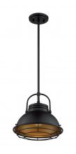  60/7074 - Upton - 1 Light Pendant with- Dark Bronze and Gold Finish