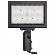  65/619R1 - LED Flood Light; 150 Watt; 4000K; Bronze Finish