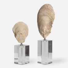  17523 - Oyster Shell Sculptures, S/2