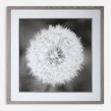 DANDELION SEEDHEAD