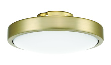Craftmade FRZ56LK-SB-LED - Frazier LED Light Kit in Satin Brass (For FRZ56xxx3 Ceiling Fan)