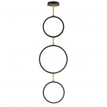  E24321-BKGLD - Hoopla-Multi-Light Pendant